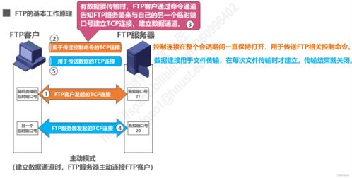计算机网络应用层 信息咨询服务的核心引擎