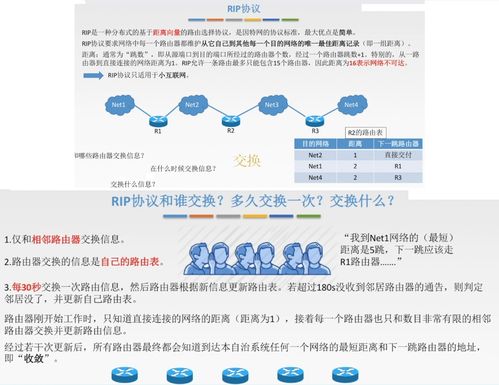 网络层 计算机网络中的通信枢纽与关键服务