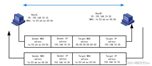计算机网络管理 arp 地址解析协议 arp的基础原理 wireshark arp 报文分析 arp的通信过程