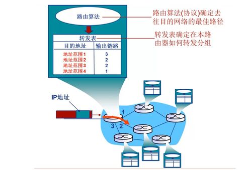 计算机网络网络层之路由算法